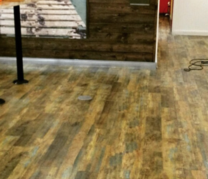 a picture of clean hard wood floors