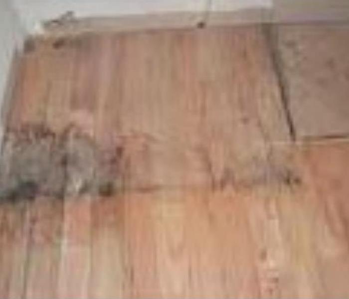 Wood flooring before