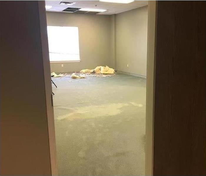 a picture of an office with insulation that is coming through the ceiling